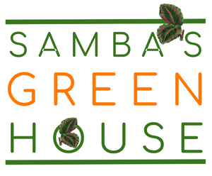 SAMBA'S GREEN HOUSE